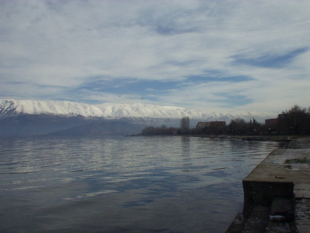 P2040031_001.sized.jpg