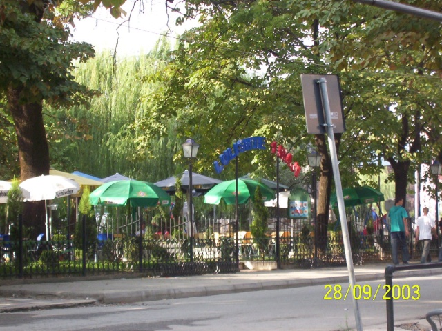 000_0066.sized.jpg