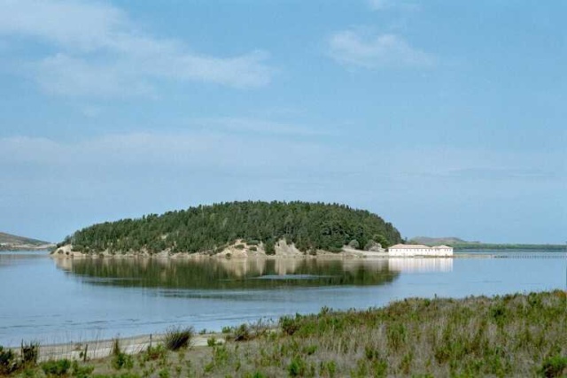 0144_61.sized.jpg