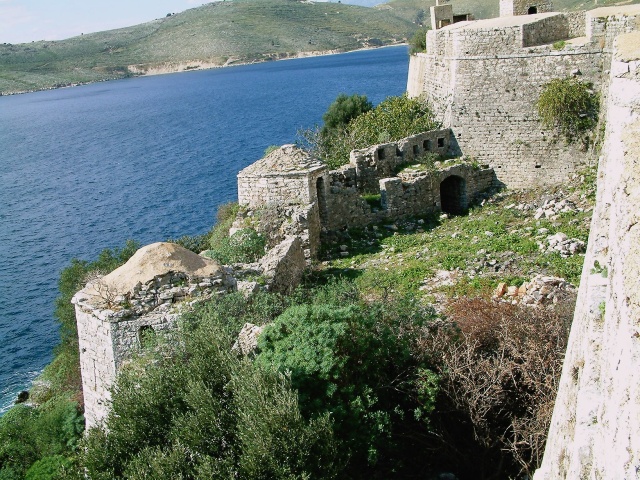 D1000022.sized.jpg