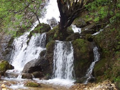 Bukurite natyrore te Rugoves