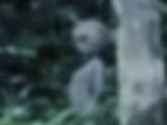 A eshte kjo prova se alienet ekzistojne? (FOTO)