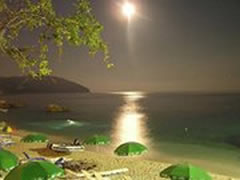 Vera, shume turiste, pak fitime 