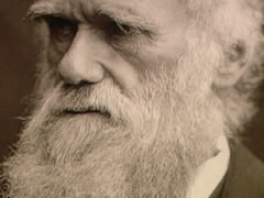 Studimi i ri: Darwini kishte te drejte