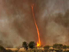 Nje tornado prej zjarri habit dhe terrorizon australianet 