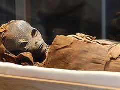 Nje mumje aliene eshte zbuluar ne nje piramide ne Egjypt