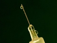 SHBA, prodhohet vaksina kunder kancerit