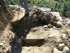 SOS Trashegimia, Amantia po shkaterrohet, shteti ne gjunje