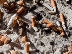 Ves i demshem, 4.500 miliarde bishta cigaresh bejne pis ambientin