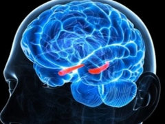 A mund te sherohet depresioni nga vendosja e nje mikrocipi ne tru?