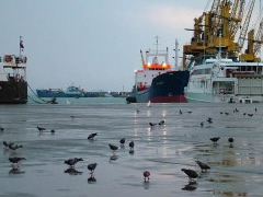Porti Durres, rritet numri i udhetareve, bie eksporti