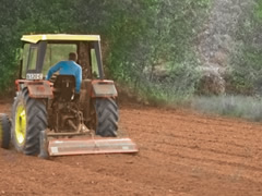 Grant japonez per agroindustrine, kushtet per te perfituar 