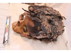 Arkeologet zbulojne mumien 3000-vjecare