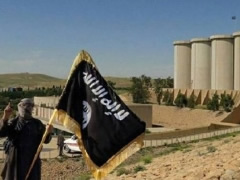 Si i fiton ISIS 1 mln dollare ne dite?