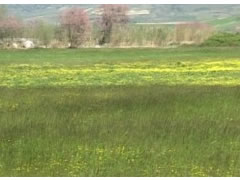 Si u mashtruan fshataret! Pas 20 vitesh zbuluan token e tyre