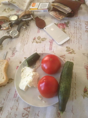 Fotoja qe thyen rrjetin: Pasaniku shqiptar ha kastraveca e domate