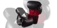 Thai & Kickboxi në Asllan Rusi të shtunën 29 Shtator 2007