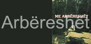 Arbëreshët, Standarti shqip i përjashtuar