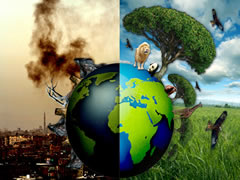 50 veprime qe duhet te beni per te shpetuar planetin