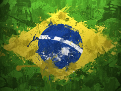 Sot nis 'Brazil 2014'