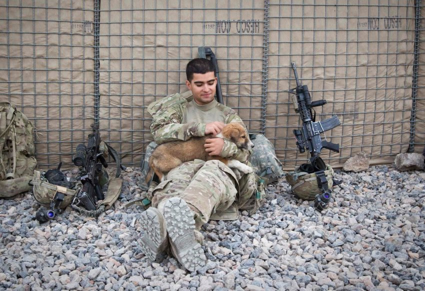 Lufta ne Afganistan: Foto qe pershkruajn 10 vitet e luftes...