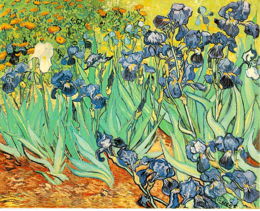 7 Piktura Irises 97 5 Milione Dollare Artisti Vincent Van Gogh Piktura Irises Eshte Krijuar Nga Artisti Holandez Vincent Van Gogh Ishte Nje Prej Veprave Te Para Ndersa Ai Qendronte Ne Azilin Saint Click aici pentru a te autentifica. vincent van gogh piktura irises